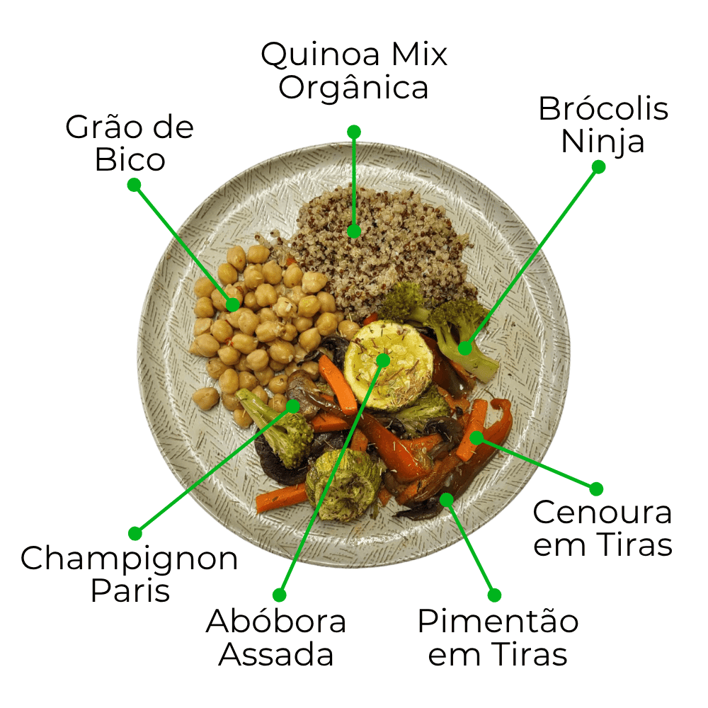 Kit Gourmet com Novos Veganos e Proteínas Nobres - 8 Marmitas de 300g cada