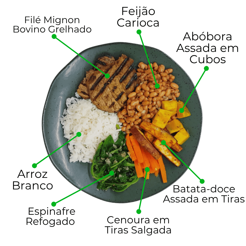 Kit Gourmet com Novos Veganos e Proteínas Nobres - 8 Marmitas de 300g cada