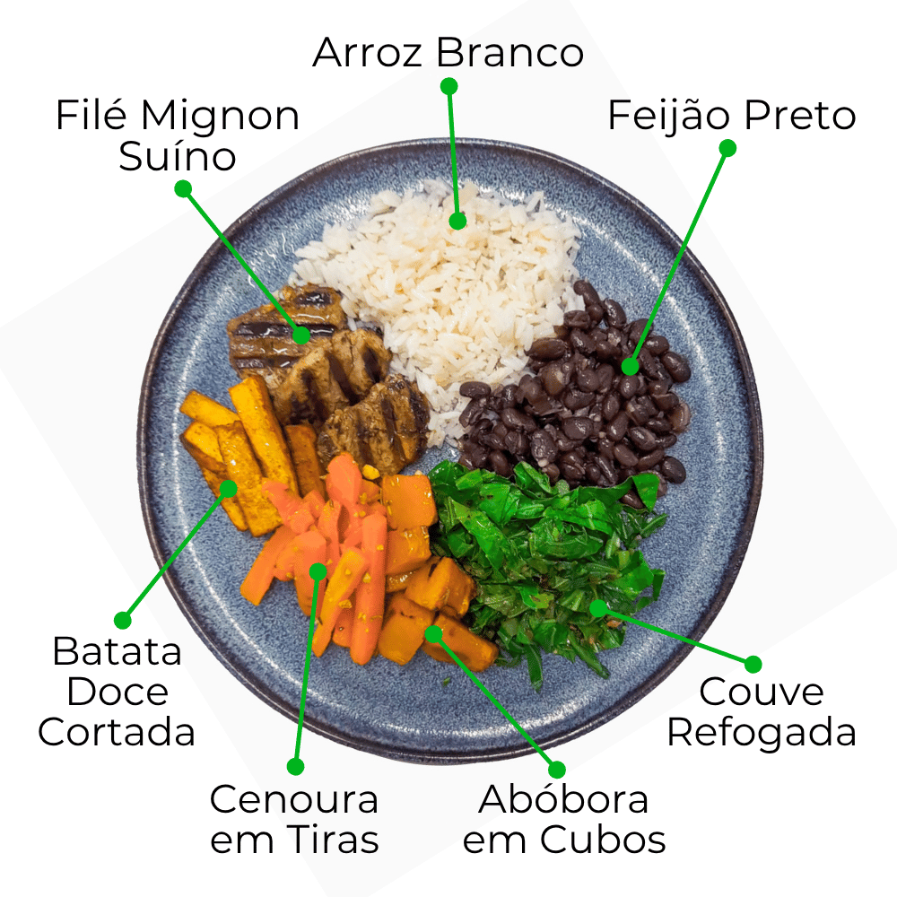Kit Gourmet com Novos Veganos e Proteínas Nobres - 8 Marmitas de 300g cada