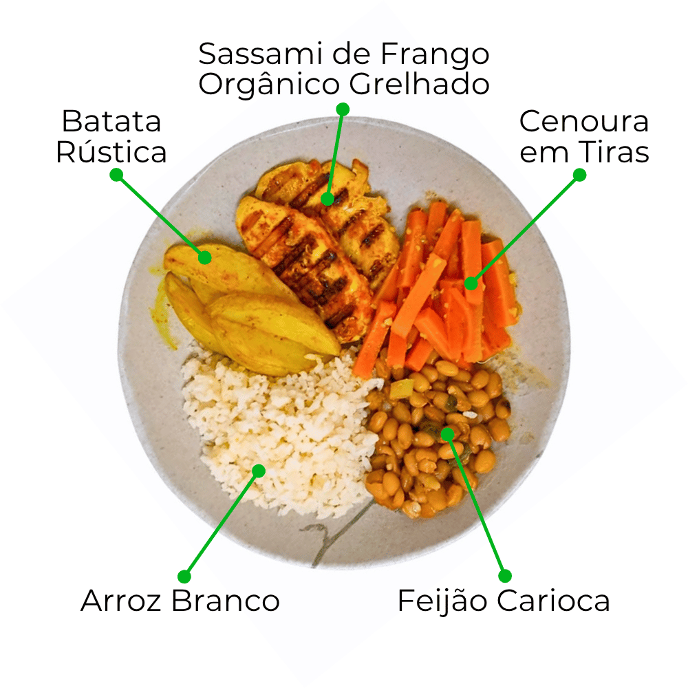 Kit Gourmet com Novos Veganos e Proteínas Nobres - 8 Marmitas de 300g cada