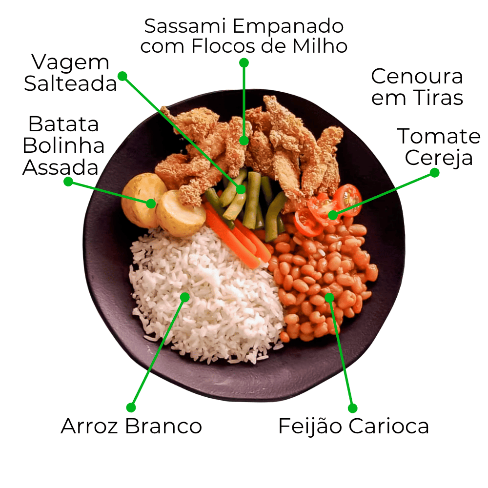 Kit Gourmet com Novos Veganos e Proteínas Nobres - 8 Marmitas de 300g cada