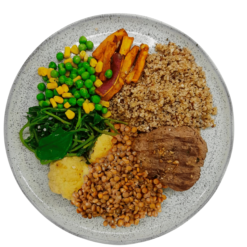 Proteína Animal - 10 refeições - 6 Bovino, 3 de Frango e 1 de Peixe - 450g