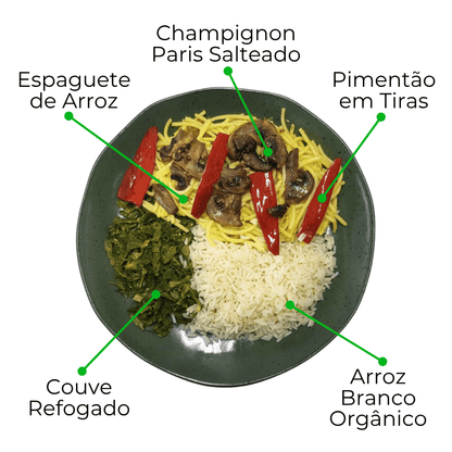 Kit Gourmet com Novos Veganos e Proteínas Nobres - 8 Marmitas de 300g cada