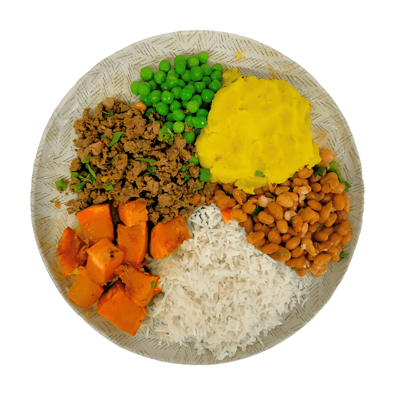 Proteína Animal - 15 refeições - 9 Carne Bovina, 4 de Frango e 2 Peixe - 450g
