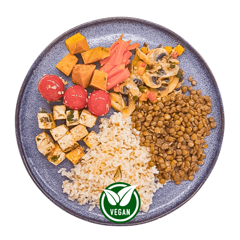 Kit Vegano - 10 refeições - Vegano - 450g