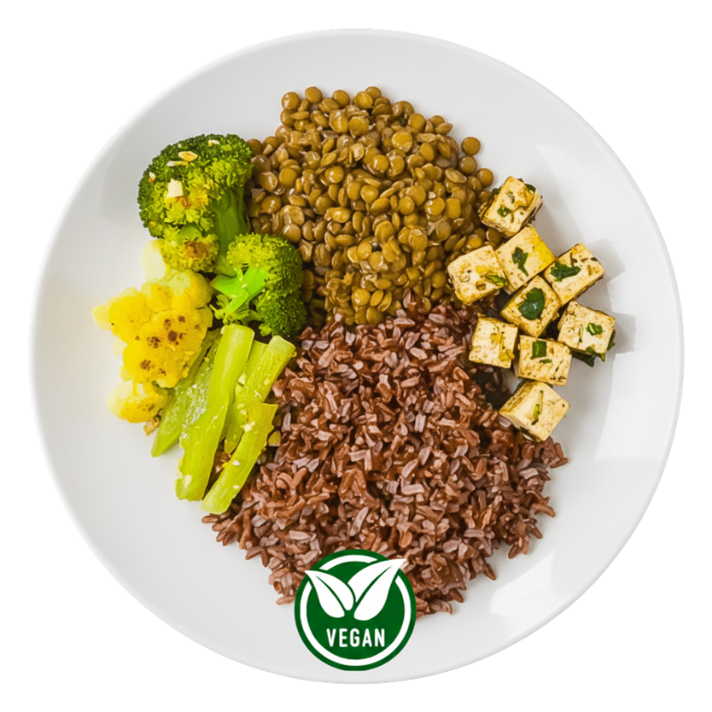 Kit Vegano - 10 refeições - Vegano - 450g