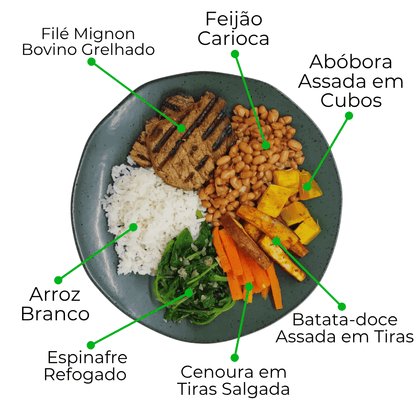 Kit Gourmet com Novos Veganos e Proteínas Nobres - 8 Marmitas de 300g cada