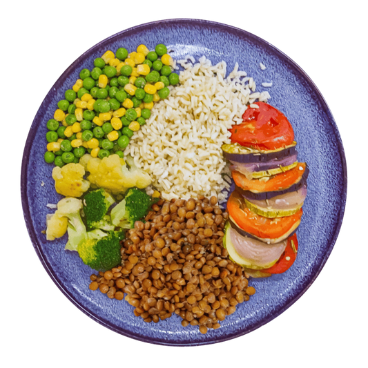 335 - Quinoa, Lentilha Verde, Ratatouille, Couve-flor, Brócolis, Ervilha e Milho