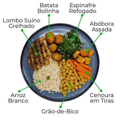 Kit Gourmet com Novos Veganos e Proteínas Nobres - 8 Marmitas de 300g cada