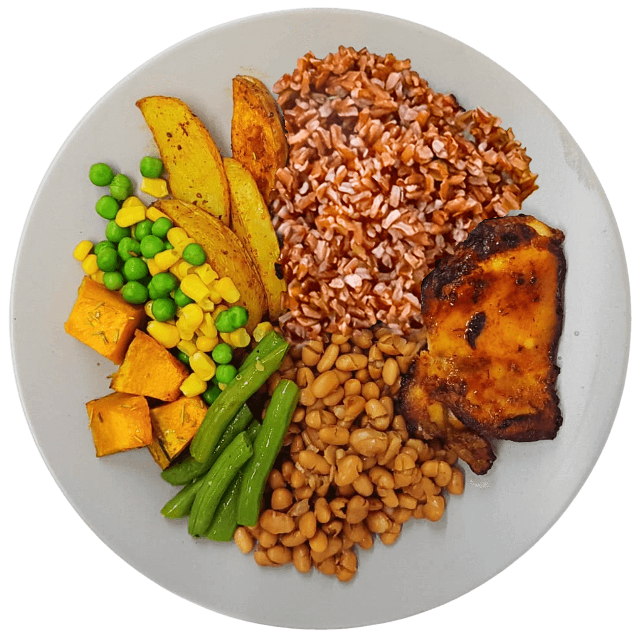 Proteína Animal - 10 refeições - 6 Bovino, 3 de Frango e 1 de Peixe - 450g