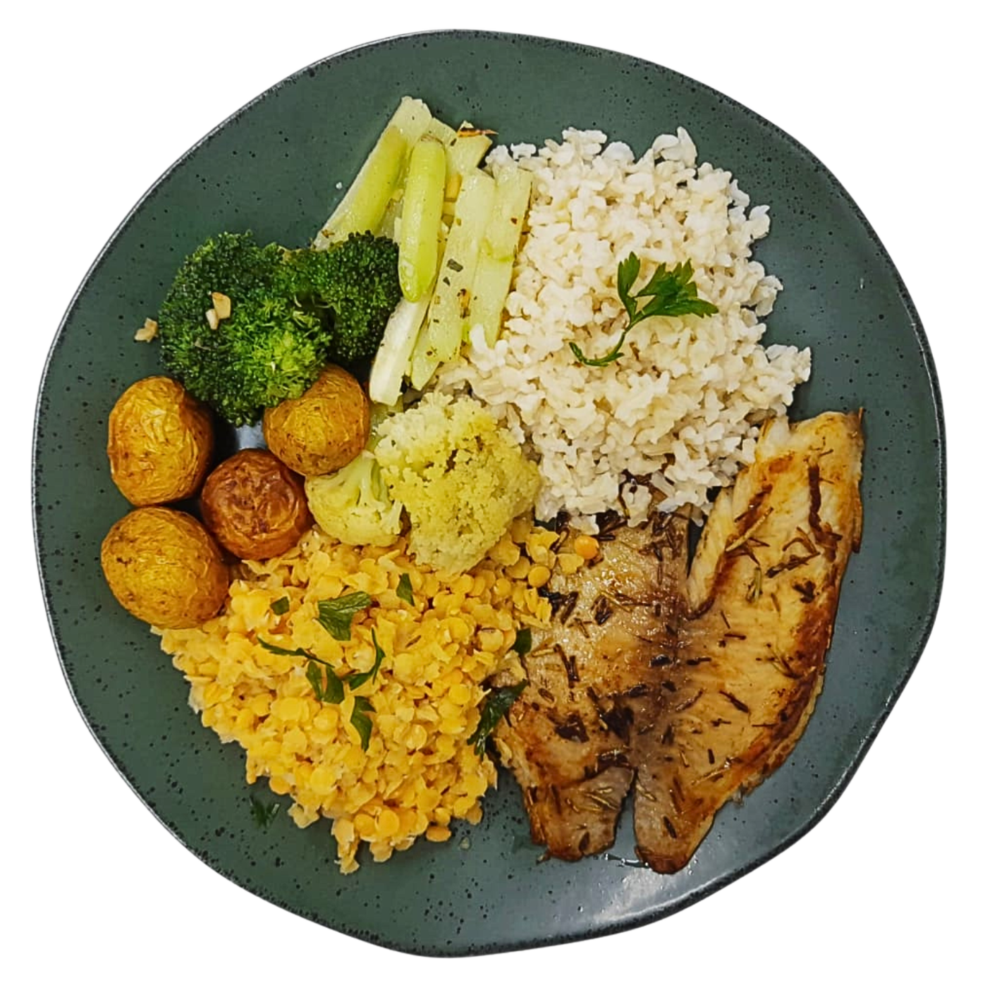 K7 - Kit com 7 delicias gourmet de proteína animal 240g cada