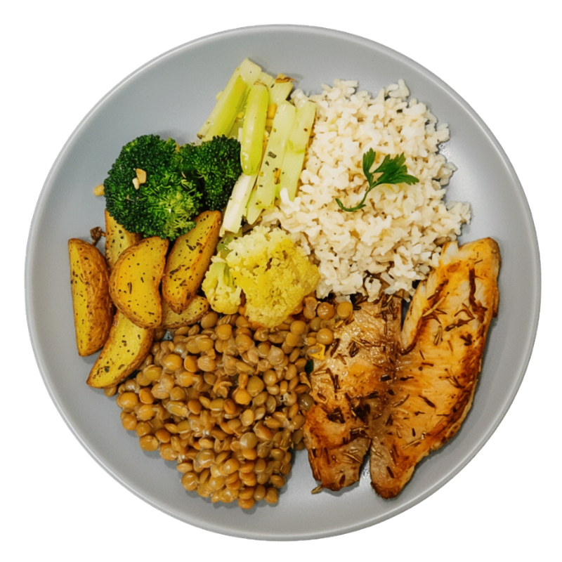 Proteína Animal - 15 refeições - 9 Carne Bovina, 4 de Frango e 2 Peixe - 450g