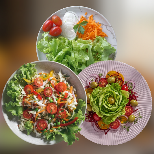 KIT3 - Salada Verão + Salada Horta + Salada Express